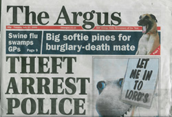 TheArgus